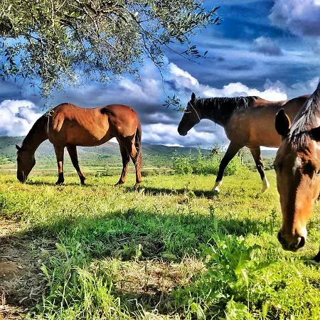 Фермерский дом Montebelli Agriturismo Гаворрано