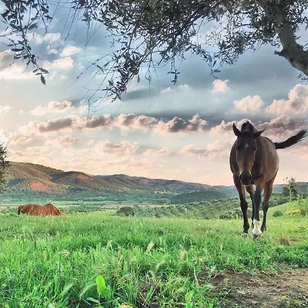 Montebelli Agriturismo Фермерский дом Гаворрано