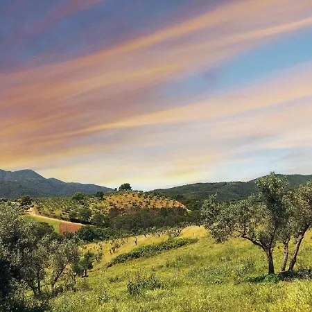 Montebelli Agriturismo Фермерский дом Гаворрано
